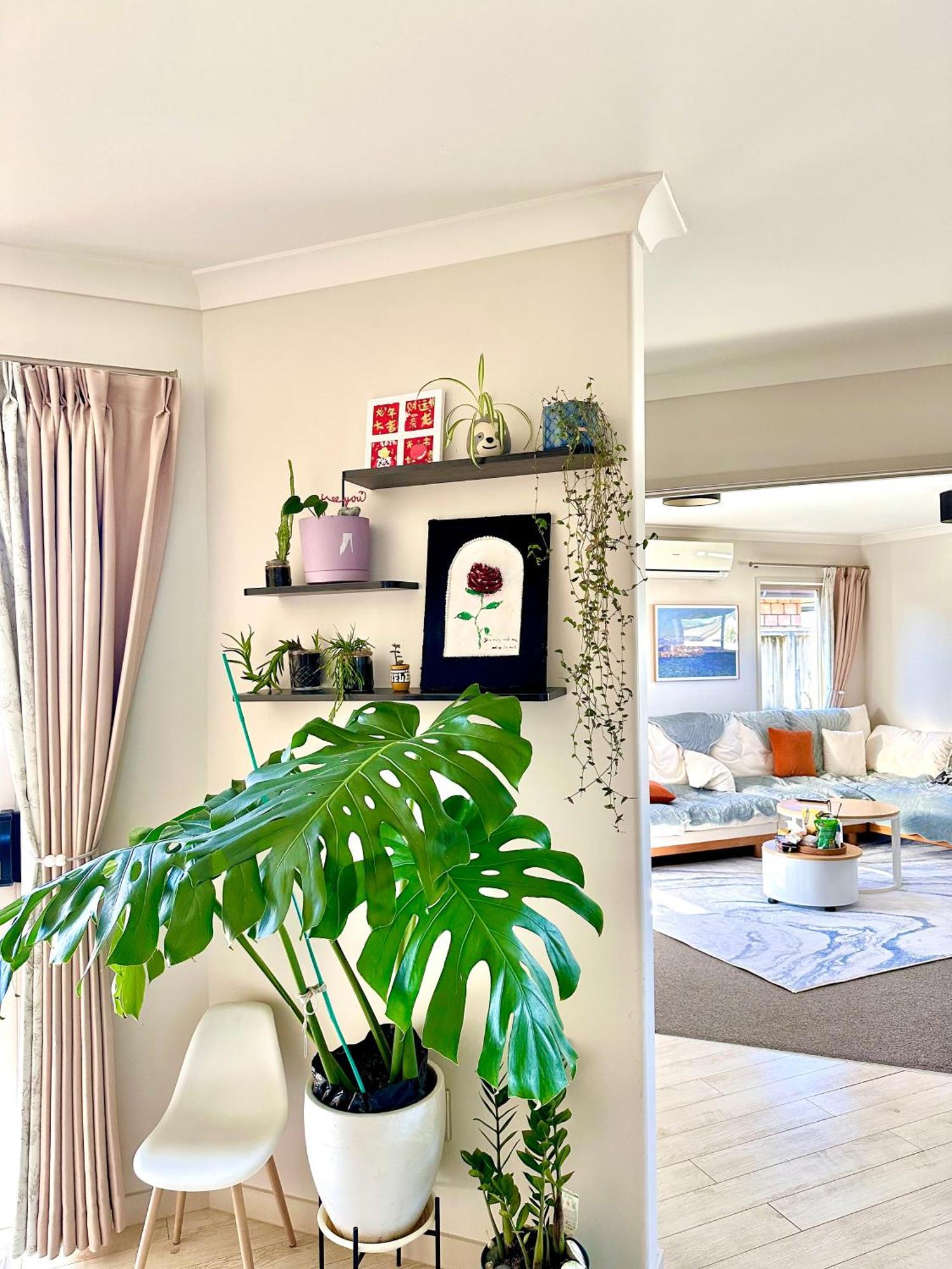 Home Away From Home Tauranga Exteriör bild